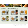 Organic Hericium Erinaceus kivonat por